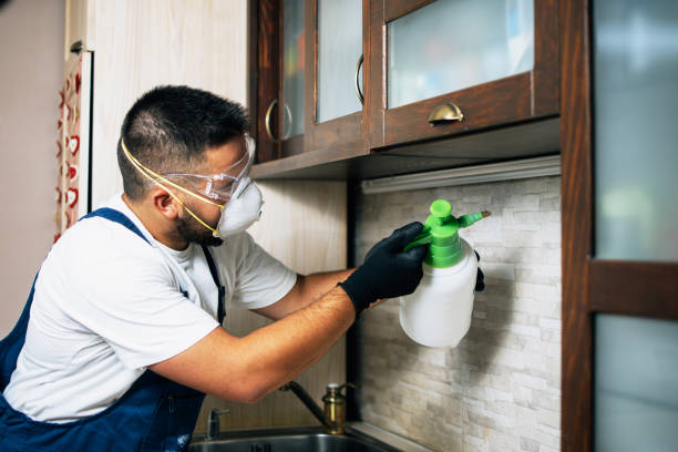 Best Pest Control Near Me  in Holley, NY