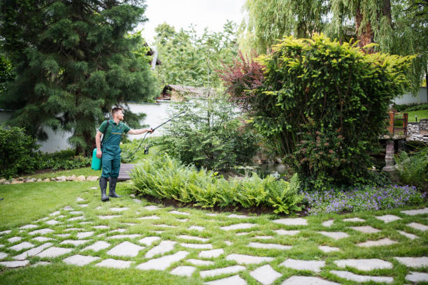 Best Affordable Exterminators  in Holley, NY