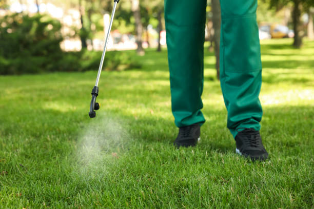 Flea Control Services in Holley, NY