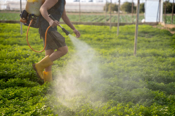 Best Best Pest Control Companies  in Holley, NY