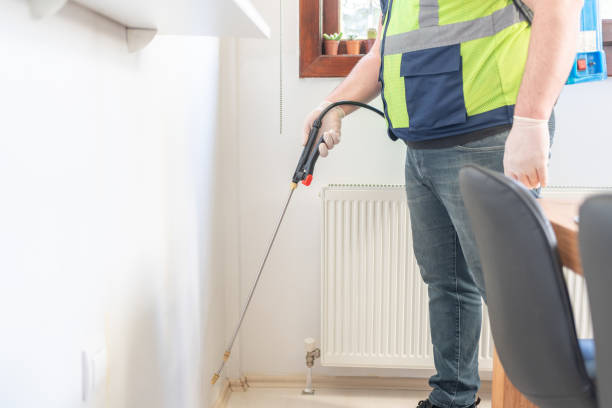 Professional Pest Control in Holley, NY