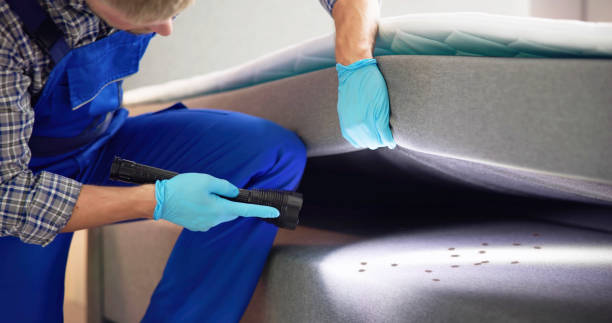 Trusted Holley, NY Pest Control Experts